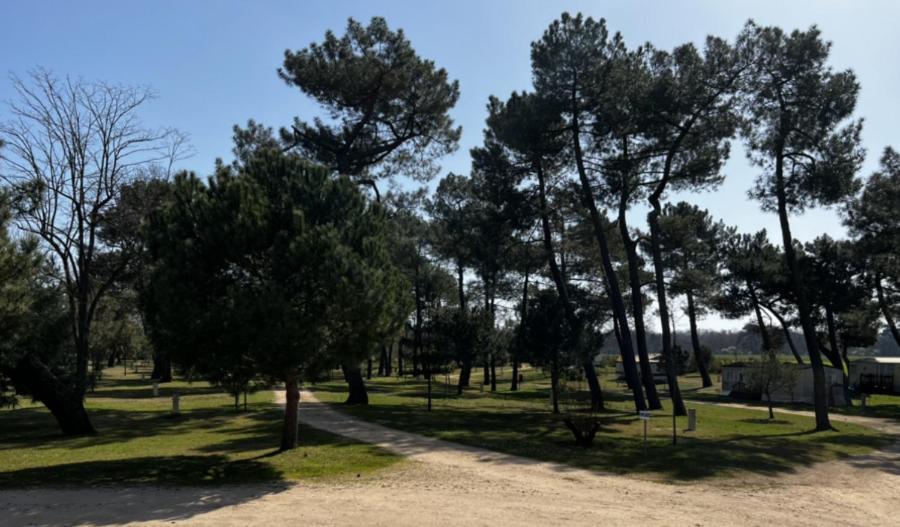 Campingplatz La Maltournee